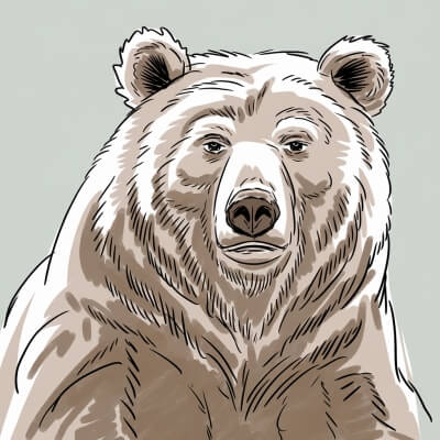 Mellow Grizzly